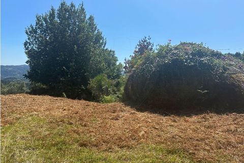 Villa i Arcos de Valdevez, Viana do Castelo, Arcos de Valdevez - € 44.000 | Ref: 123331167-417 - foto 35