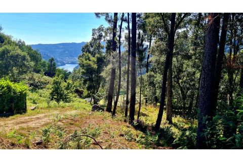 Helårsgrund i Paredes, Porto, Paredes - € 99.000 | Ref: 125901007-203 - foto 10