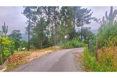 Helårsgrund i Paredes, Porto, Paredes - € 99.000 | Ref: 125901007-203 - foto 9