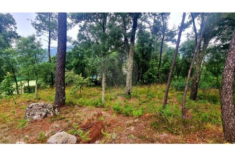 Helårsgrund i Paredes, Porto, Paredes - € 99.000 | Ref: 125901007-203 - foto 4