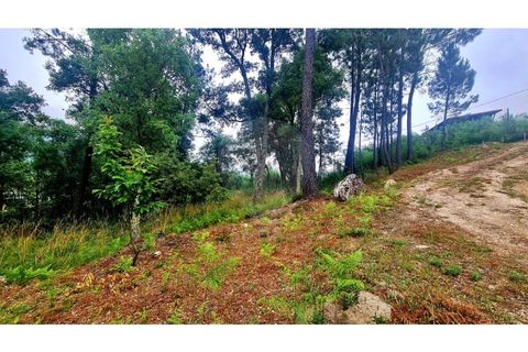 Helårsgrund i Paredes, Porto, Paredes - € 99.000 | Ref: 125901007-203 - foto 5
