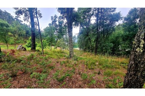 Helårsgrund i Paredes, Porto, Paredes - € 99.000 | Ref: 125901007-203 - foto 6