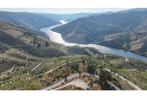 Helårsgrund i Valenca do douro, Viseu, Valenca do douro - € 850.000 | Ref: 126381014-16 - foto 2