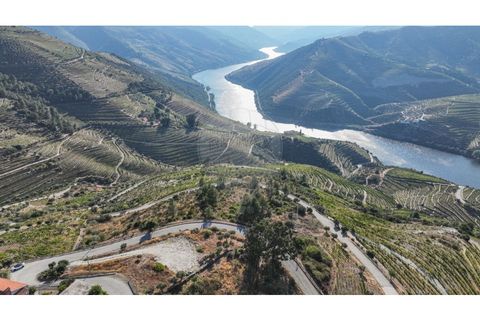 Helårsgrund i Valenca do douro, Viseu, Valenca do douro - € 850.000 | Ref: 126381014-16 - foto 11