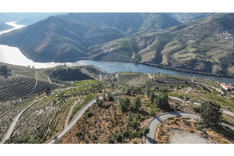 Helårsgrund i Valenca do douro, Viseu, Valenca do douro - € 850.000 | Ref: 126381014-16 - foto 12