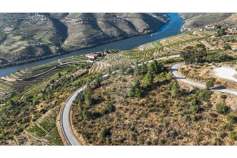 Helårsgrund i Valenca do douro, Viseu, Valenca do douro - € 850.000 | Ref: 126381014-16 - foto 10