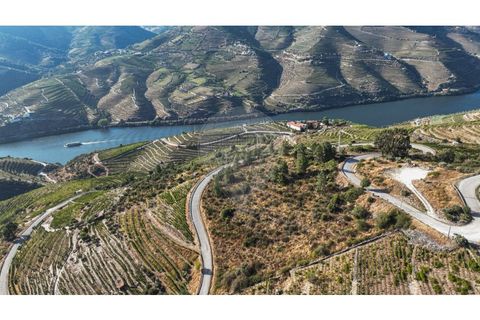 Helårsgrund i Valenca do douro, Viseu, Valenca do douro - € 850.000 | Ref: 126381014-16 - foto 5