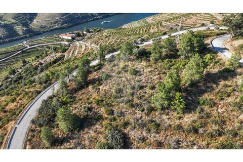 Helårsgrund i Valenca do douro, Viseu, Valenca do douro - € 850.000 | Ref: 126381014-16 - foto 8