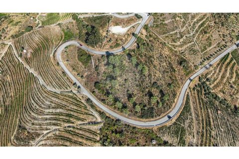 Helårsgrund i Valenca do douro, Viseu, Valenca do douro - € 850.000 | Ref: 126381014-16 - foto 18