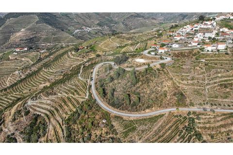 Helårsgrund i Valenca do douro, Viseu, Valenca do douro - € 850.000 | Ref: 126381014-16 - foto 17