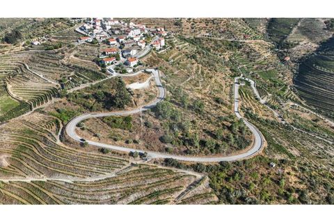 Helårsgrund i Valenca do douro, Viseu, Valenca do douro - € 850.000 | Ref: 126381014-16 - foto 16