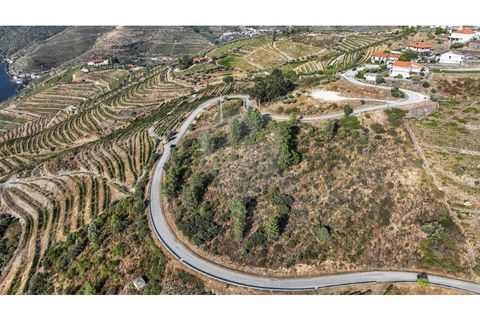 Helårsgrund i Valenca do douro, Viseu, Valenca do douro - € 850.000 | Ref: 126381014-16 - foto 15