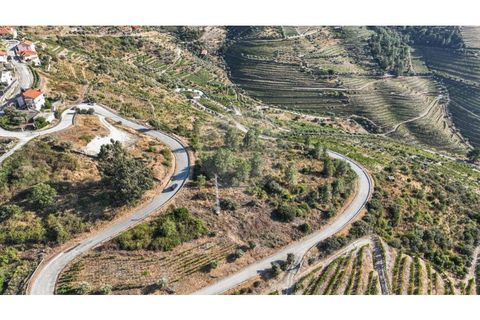 Helårsgrund i Valenca do douro, Viseu, Valenca do douro - € 850.000 | Ref: 126381014-16 - foto 14