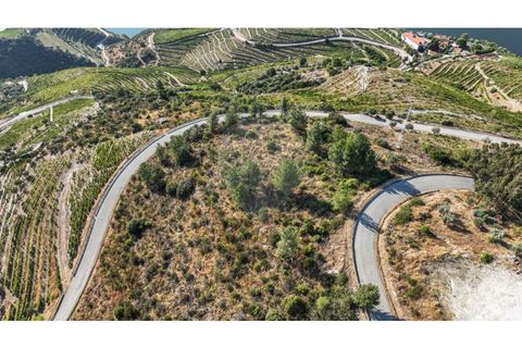 Helårsgrund i Valenca do douro, Viseu, Valenca do douro - € 850.000 | Ref: 126381014-16 - foto 13