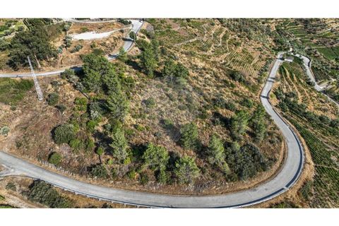 Helårsgrund i Valenca do douro, Viseu, Valenca do douro - € 850.000 | Ref: 126381014-16 - foto 9