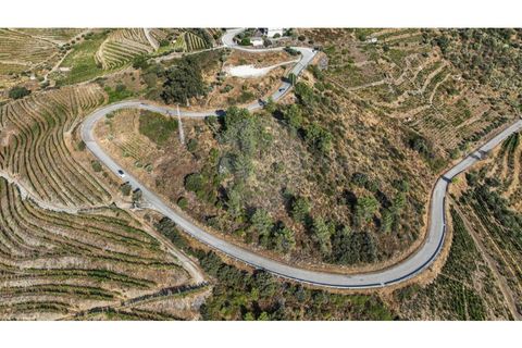 Helårsgrund i Valenca do douro, Viseu, Valenca do douro - € 850.000 | Ref: 126381014-16 - foto 7