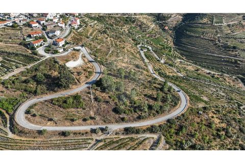 Helårsgrund i Valenca do douro, Viseu, Valenca do douro - € 850.000 | Ref: 126381014-16 - foto 6