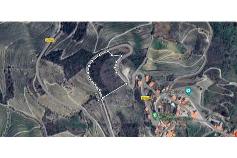 Helårsgrund i Valenca do douro, Viseu, Valenca do douro - € 850.000 | Ref: 126381014-16 - foto 4