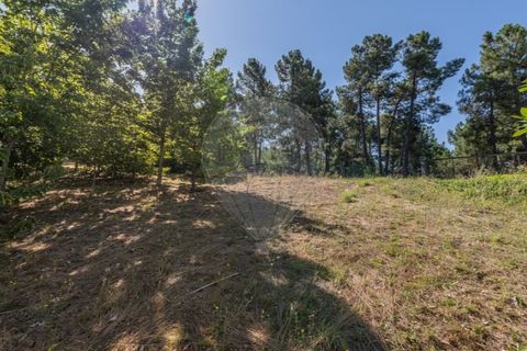 Villa i Chaves, Vila Real, Chaves - € 460.000 | Ref: 126381014-17 - foto 23