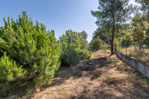 Villa i Chaves, Vila Real, Chaves - € 460.000 | Ref: 126381014-17 - foto 22