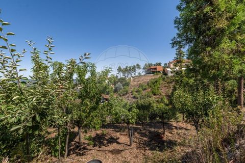 Villa i Chaves, Vila Real, Chaves - € 460.000 | Ref: 126381014-17 - foto 21