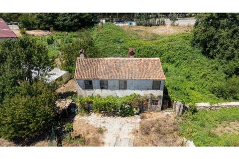 Villa i Chaves, Vila Real, Chaves - € 349.900 | Ref: 126381014-18 - foto 13