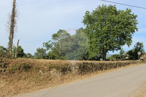 Helårsgrund i Valenca, Viana do Castelo, Valenca - € 49.000 | Ref: 123731008-395 - foto 3