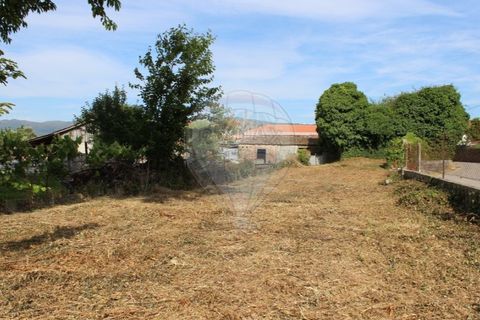 Helårsgrund i Valenca, Viana do Castelo, Valenca - € 49.000 | Ref: 123731008-395 - foto 8