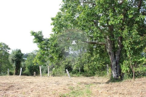 Helårsgrund i Valenca, Viana do Castelo, Valenca - € 49.000 | Ref: 123731008-395 - foto 10
