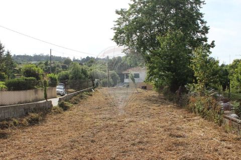 Helårsgrund i Valenca, Viana do Castelo, Valenca - € 49.000 | Ref: 123731008-395 - foto 12
