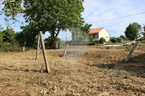 Helårsgrund i Valenca, Viana do Castelo, Valenca - € 49.000 | Ref: 123731008-395 - foto 14