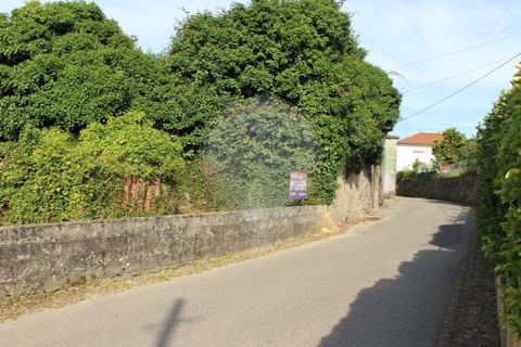 Helårsgrund i Valenca, Viana do Castelo, Valenca - € 49.000 | Ref: 123731008-395 - foto 15