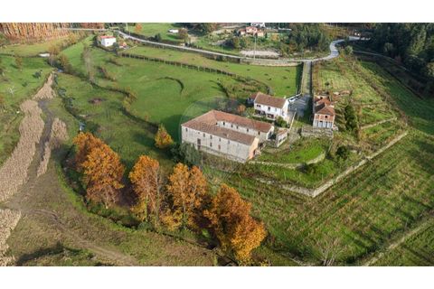 Farm i Cavez, Braga, Cavez - € 399.900 | Ref: 123331090-15 - foto 15
