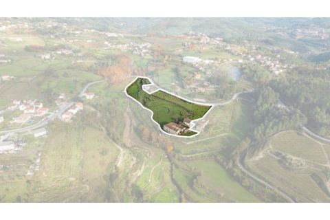 Farm i Cavez, Braga, Cavez - € 399.900 | Ref: 123331090-15 - foto 25