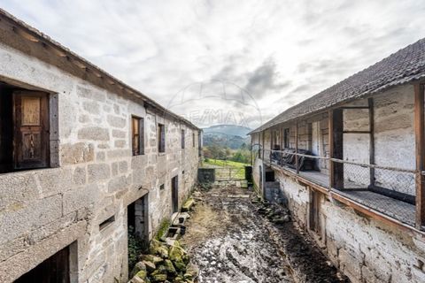 Farm i Cavez, Braga, Cavez - € 399.900 | Ref: 123331090-15 - foto 32