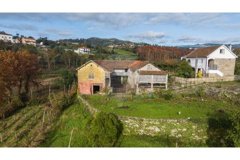 Farm i Cavez, Braga, Cavez - € 399.900 | Ref: 123331090-15 - foto 4