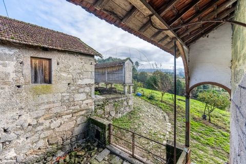 Farm i Cavez, Braga, Cavez - € 399.900 | Ref: 123331090-15 - foto 5