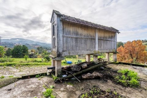 Farm i Cavez, Braga, Cavez - € 399.900 | Ref: 123331090-15 - foto 12