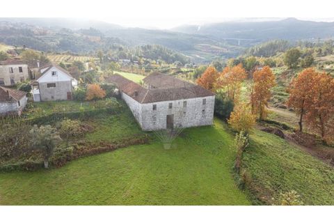 Farm i Cavez, Braga, Cavez - € 399.900 | Ref: 123331090-15 - foto 28