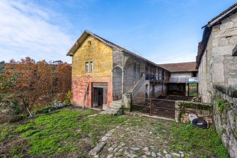 Farm i Cavez, Braga, Cavez - € 399.900 | Ref: 123331090-15 - foto 6