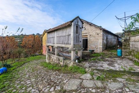 Farm i Cavez, Braga, Cavez - € 399.900 | Ref: 123331090-15 - foto 24