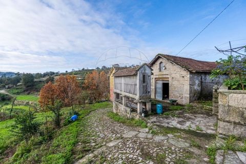 Farm i Cavez, Braga, Cavez - € 399.900 | Ref: 123331090-15 - foto 33