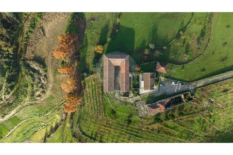 Farm i Cavez, Braga, Cavez - € 399.900 | Ref: 123331090-15 - foto 19