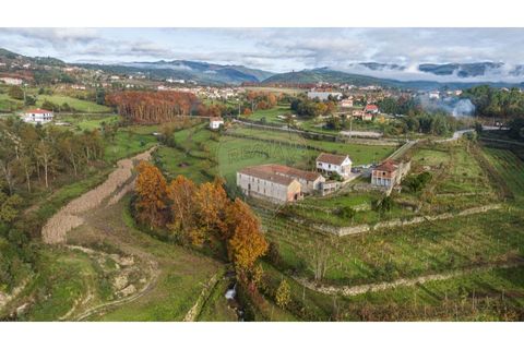 Farm i Cavez, Braga, Cavez - € 399.900 | Ref: 123331090-15 - foto 31