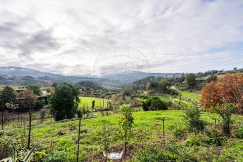 Farm i Cavez, Braga, Cavez - € 399.900 | Ref: 123331090-15 - foto 16