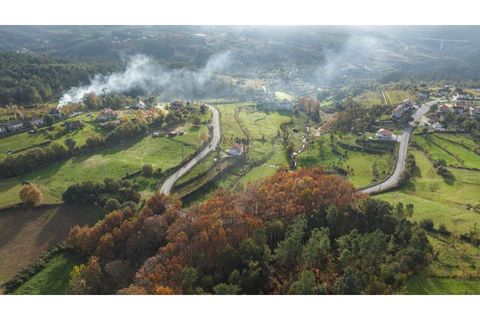 Farm i Cavez, Braga, Cavez - € 399.900 | Ref: 123331090-15 - foto 3