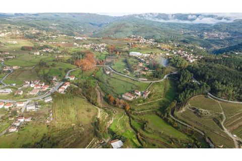 Farm i Cavez, Braga, Cavez - € 399.900 | Ref: 123331090-15 - foto 7