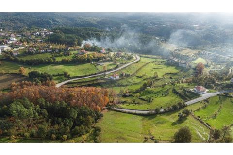 Farm i Cavez, Braga, Cavez - € 399.900 | Ref: 123331090-15 - foto 14