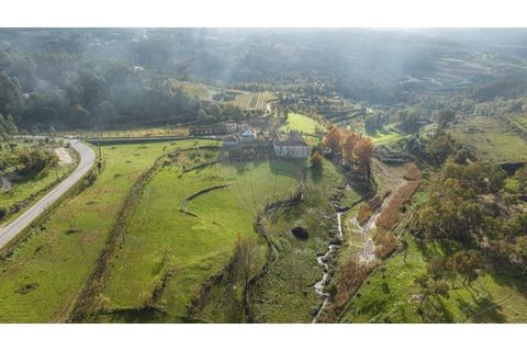 Farm i Cavez, Braga, Cavez - € 399.900 | Ref: 123331090-15 - foto 22