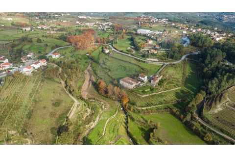 Farm i Cavez, Braga, Cavez - € 399.900 | Ref: 123331090-15 - foto 23